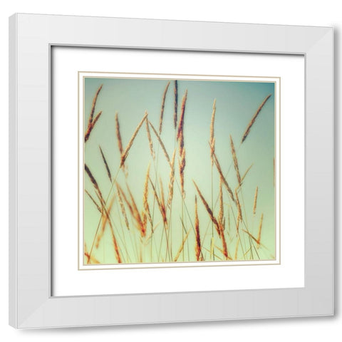 Steppe Carpet 1 White Modern Wood Framed Art Print with Double Matting by Poinski, Dianne
