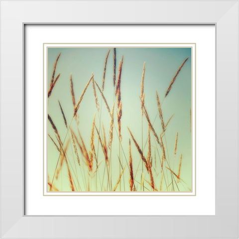Steppe Carpet 1 White Modern Wood Framed Art Print with Double Matting by Poinski, Dianne