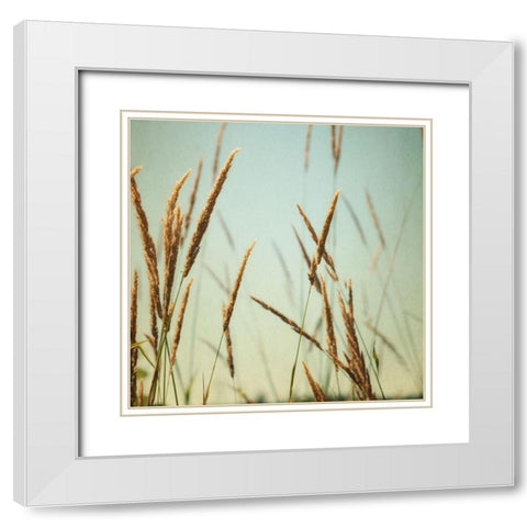 Steppe Carpet 2 White Modern Wood Framed Art Print with Double Matting by Poinski, Dianne