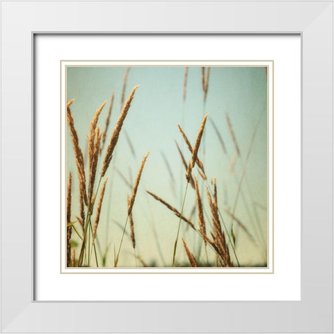 Steppe Carpet 2 White Modern Wood Framed Art Print with Double Matting by Poinski, Dianne