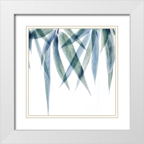 Vibrant Bamboo 1 White Modern Wood Framed Art Print with Double Matting by Poinski, Dianne