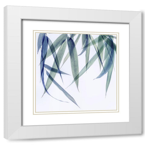Vibrant Bamboo 2 White Modern Wood Framed Art Print with Double Matting by Poinski, Dianne