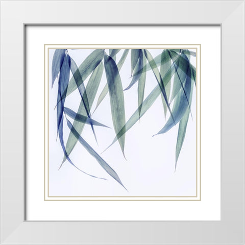 Vibrant Bamboo 2 White Modern Wood Framed Art Print with Double Matting by Poinski, Dianne