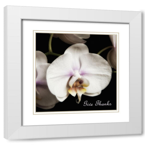 Give Thanks Orchids White Modern Wood Framed Art Print with Double Matting by Poinski, Dianne