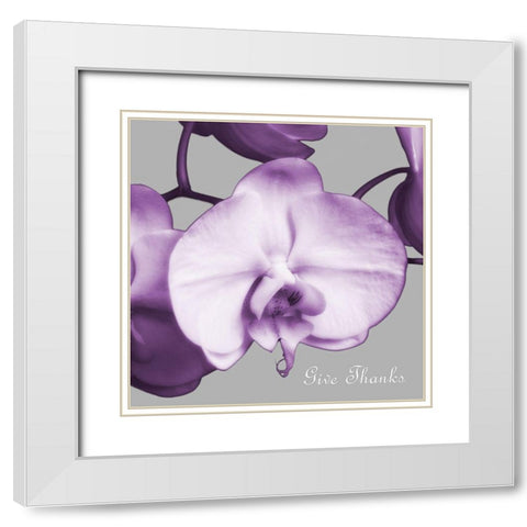 Thankful Orchids White Modern Wood Framed Art Print with Double Matting by Poinski, Dianne
