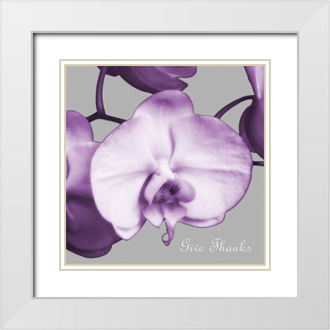 Thankful Orchids White Modern Wood Framed Art Print with Double Matting by Poinski, Dianne