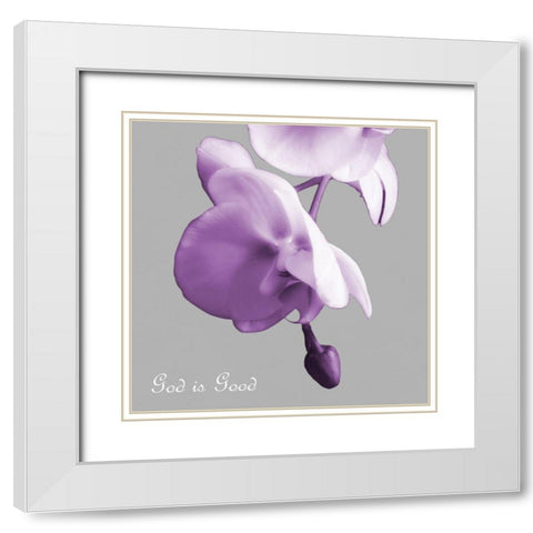 Godly Good Orchids White Modern Wood Framed Art Print with Double Matting by Poinski, Dianne