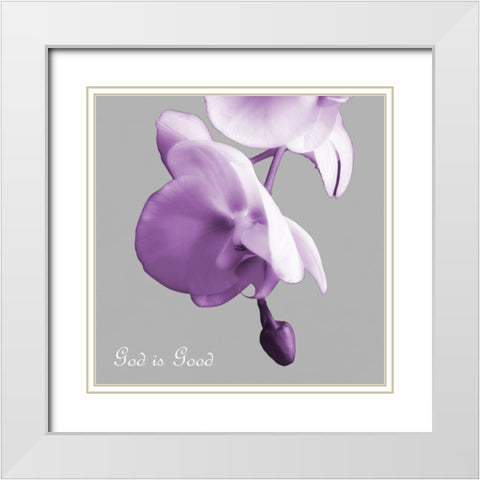 Godly Good Orchids White Modern Wood Framed Art Print with Double Matting by Poinski, Dianne