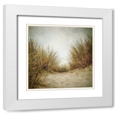 Beach Grasses 2 White Modern Wood Framed Art Print with Double Matting by Poinski, Dianne