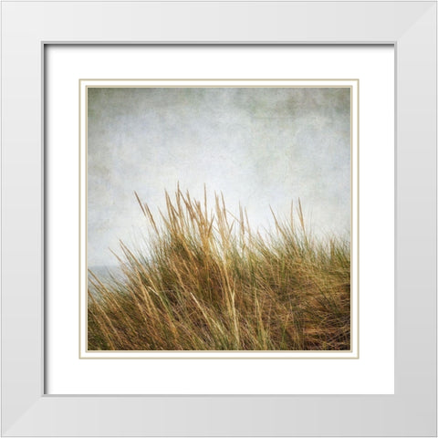 Beach Grasses 3 White Modern Wood Framed Art Print with Double Matting by Poinski, Dianne