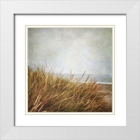 Beach Grasses 4 White Modern Wood Framed Art Print with Double Matting by Poinski, Dianne