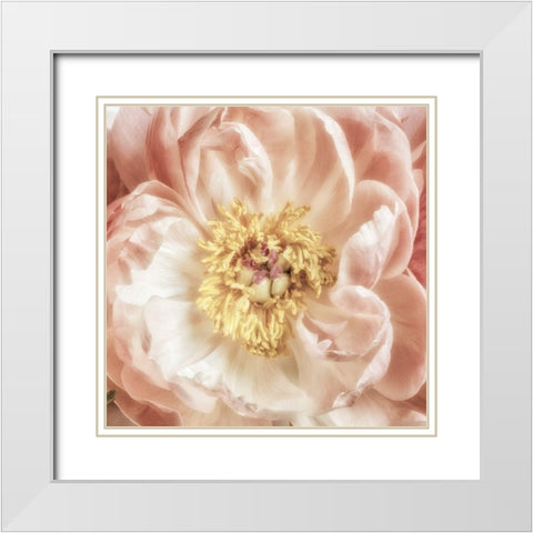 Exuberant Bloom 1 White Modern Wood Framed Art Print with Double Matting by Poinski, Dianne