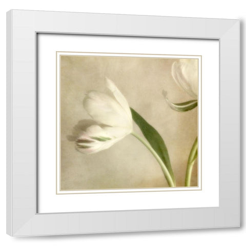 Ivory Blossom II White Modern Wood Framed Art Print with Double Matting by Poinski, Dianne