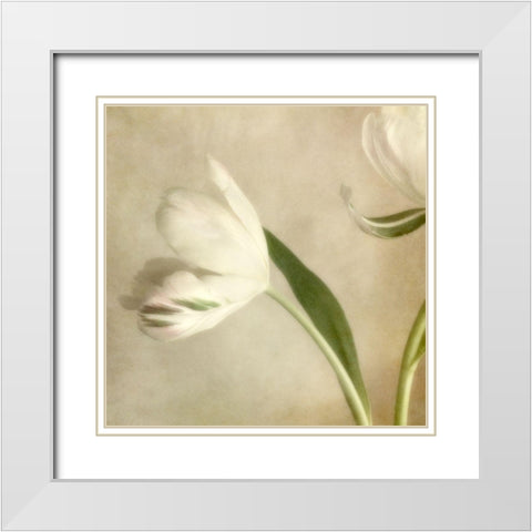 Ivory Blossom II White Modern Wood Framed Art Print with Double Matting by Poinski, Dianne