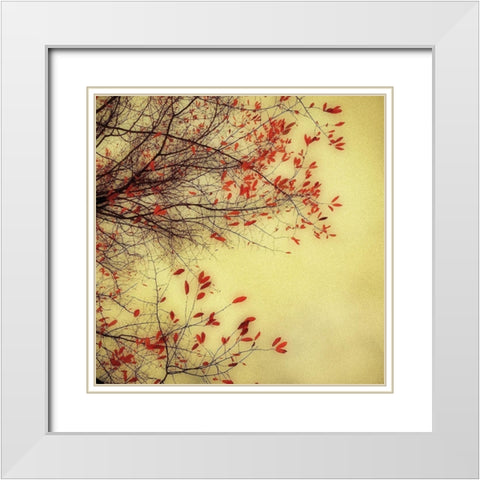 Autumn Red and Gold 1 White Modern Wood Framed Art Print with Double Matting by Poinski, Dianne