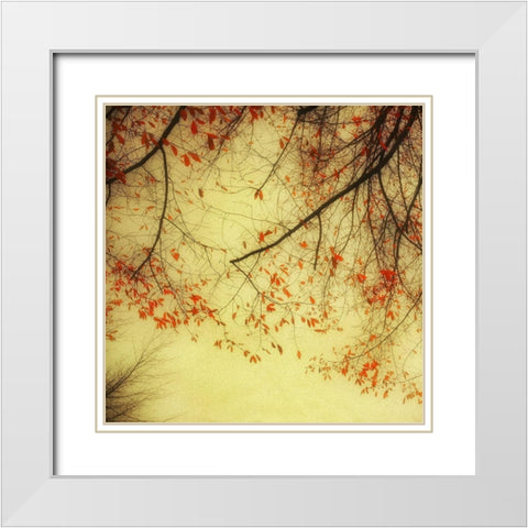 Autumn Red and Gold 2 White Modern Wood Framed Art Print with Double Matting by Poinski, Dianne