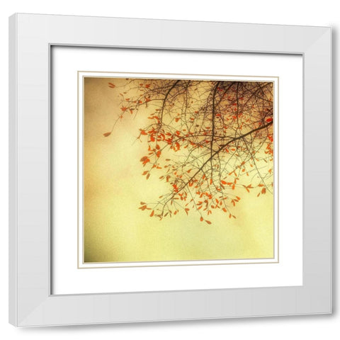 Autumn Red and Gold 3 White Modern Wood Framed Art Print with Double Matting by Poinski, Dianne