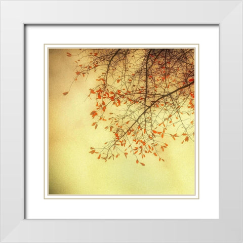 Autumn Red and Gold 3 White Modern Wood Framed Art Print with Double Matting by Poinski, Dianne