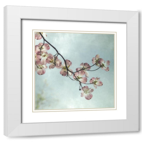 Pale Petals 1 White Modern Wood Framed Art Print with Double Matting by Poinski, Dianne