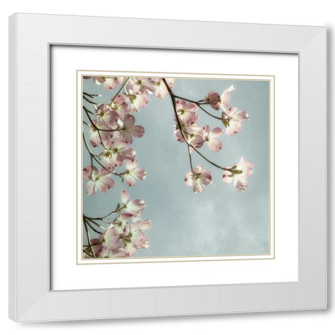 Pale Petals 2 White Modern Wood Framed Art Print with Double Matting by Poinski, Dianne
