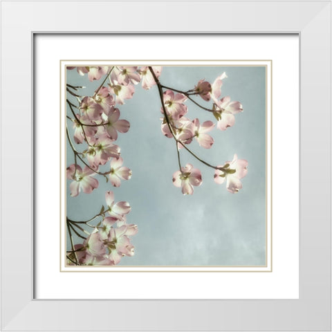 Pale Petals 2 White Modern Wood Framed Art Print with Double Matting by Poinski, Dianne