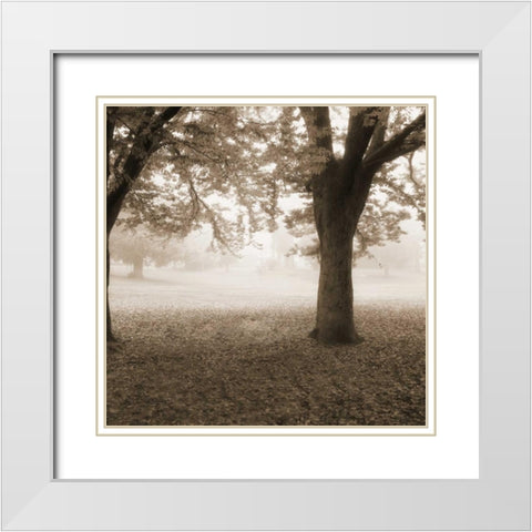 Eventide Park No Table White Modern Wood Framed Art Print with Double Matting by Poinski, Dianne
