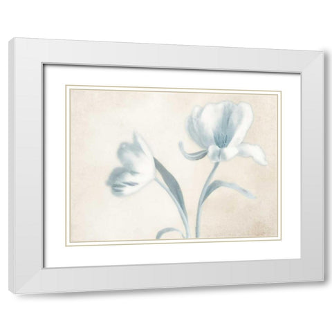 Whispering Sky 1 White Modern Wood Framed Art Print with Double Matting by Poinski, Dianne