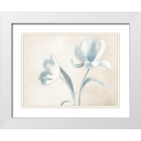 Whispering Sky 1 White Modern Wood Framed Art Print with Double Matting by Poinski, Dianne