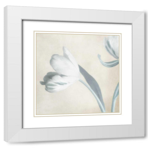 Whispering Sky 2 White Modern Wood Framed Art Print with Double Matting by Poinski, Dianne