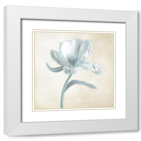 Blue Ivory Blossom 1 White Modern Wood Framed Art Print with Double Matting by Poinski, Dianne