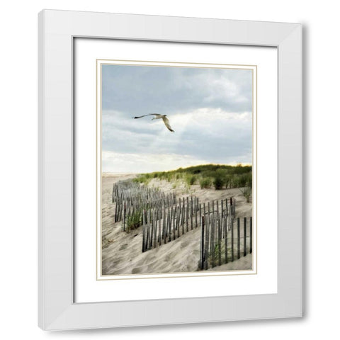 Dawning Seagull and Godbeams White Modern Wood Framed Art Print with Double Matting by Rowland, Joseph