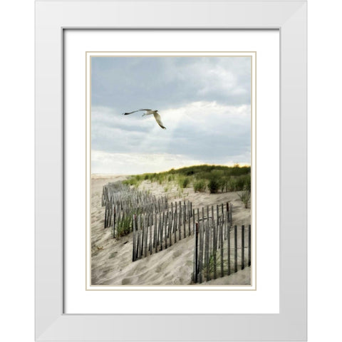 Dawning Seagull and Godbeams White Modern Wood Framed Art Print with Double Matting by Rowland, Joseph