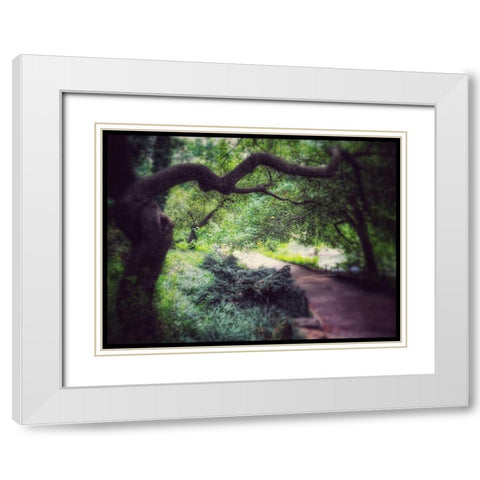 Central Park Tree White Modern Wood Framed Art Print with Double Matting by Rowland, Joseph