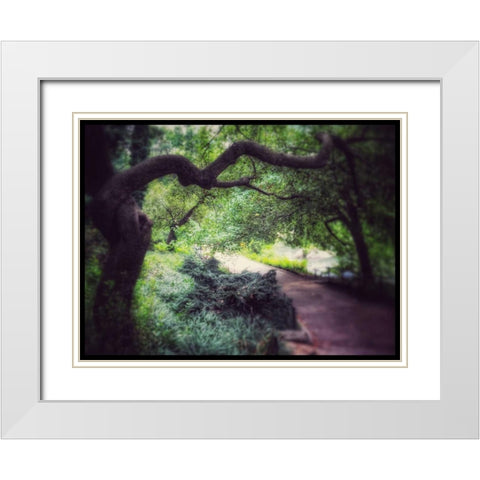 Central Park Tree White Modern Wood Framed Art Print with Double Matting by Rowland, Joseph