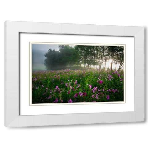 Flower Field White Modern Wood Framed Art Print with Double Matting by Rowland, Joseph