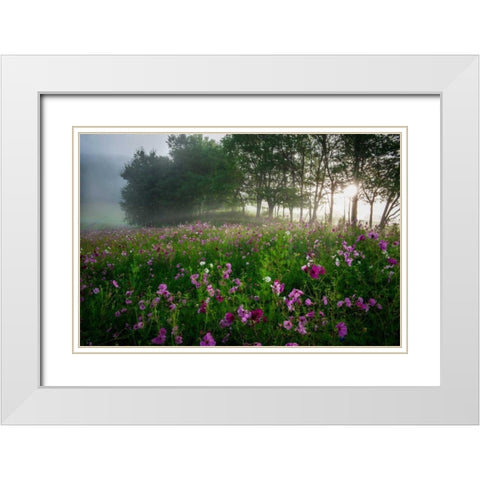 Flower Field White Modern Wood Framed Art Print with Double Matting by Rowland, Joseph