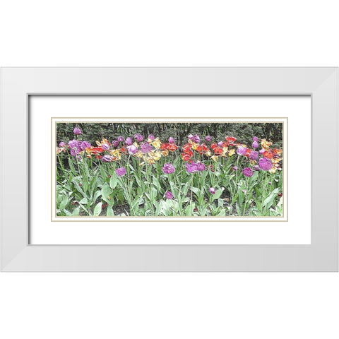 Take Your Pick White Modern Wood Framed Art Print with Double Matting by Ghanooni, Sarah