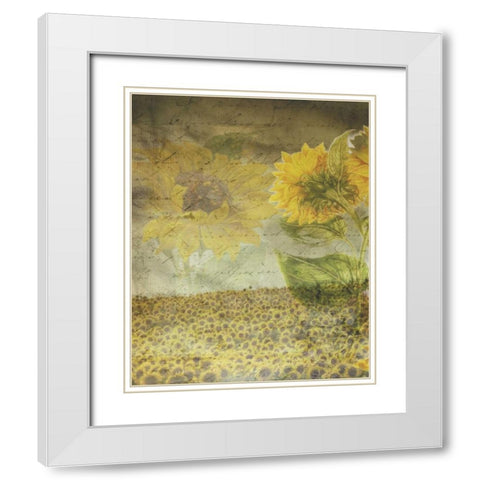 Dear Sunflower Field White Modern Wood Framed Art Print with Double Matting by Haynes, Smith