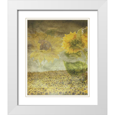 Dear Sunflower Field White Modern Wood Framed Art Print with Double Matting by Haynes, Smith