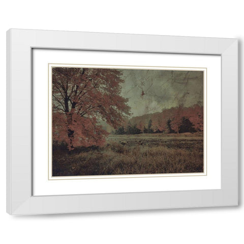 Fall In The Mist White Modern Wood Framed Art Print with Double Matting by Haynes, Smith