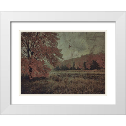 Fall In The Mist White Modern Wood Framed Art Print with Double Matting by Haynes, Smith