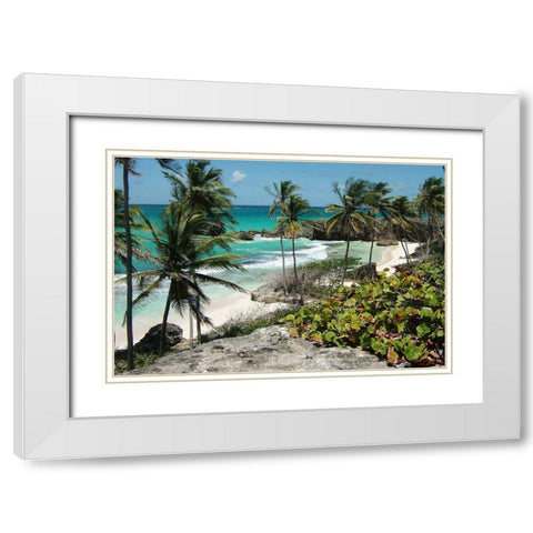 Tropical Beauty White Modern Wood Framed Art Print with Double Matting by Lewis, Sheldon
