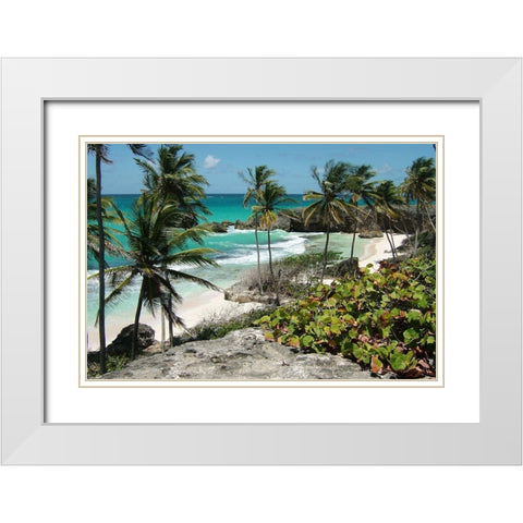 Tropical Beauty White Modern Wood Framed Art Print with Double Matting by Lewis, Sheldon