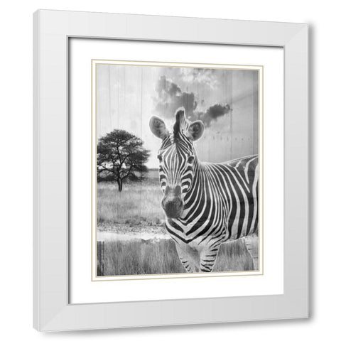Safari White Modern Wood Framed Art Print with Double Matting by Lewis, Sheldon