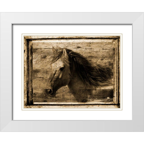 Noble Steed White Modern Wood Framed Art Print with Double Matting by Lewis, Sheldon