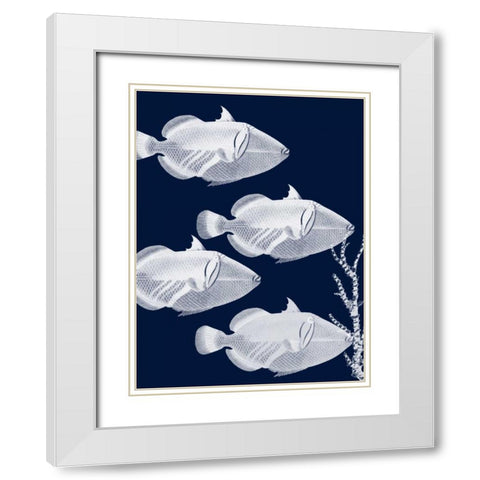 Coastal Orchestra White Modern Wood Framed Art Print with Double Matting by Lewis, Sheldon