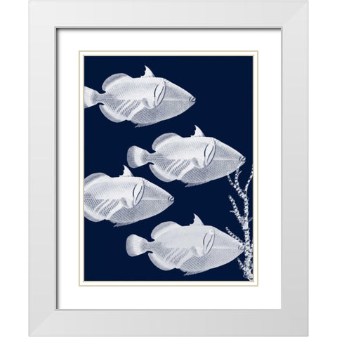 Coastal Orchestra White Modern Wood Framed Art Print with Double Matting by Lewis, Sheldon