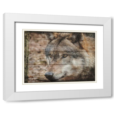 Alfa Wolf 2 White Modern Wood Framed Art Print with Double Matting by Lewis, Sheldon