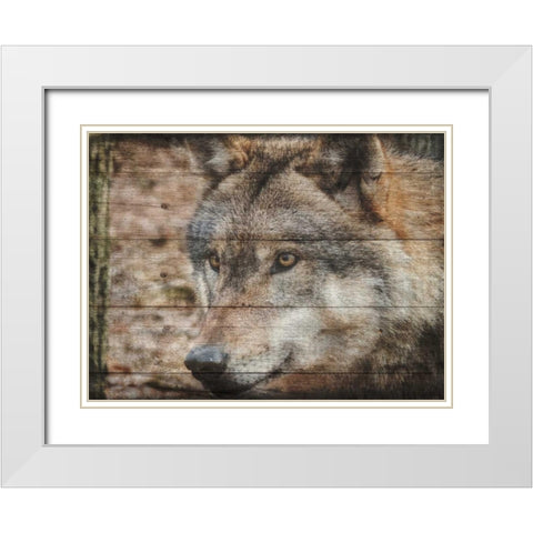 Alfa Wolf 2 White Modern Wood Framed Art Print with Double Matting by Lewis, Sheldon