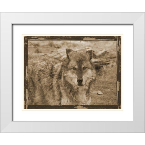 Wild Heart White Modern Wood Framed Art Print with Double Matting by Lewis, Sheldon